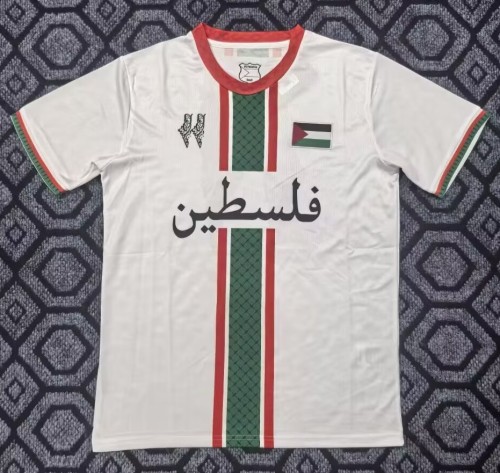 25-26 Palestine Special Edition Fans Soccer Jersey