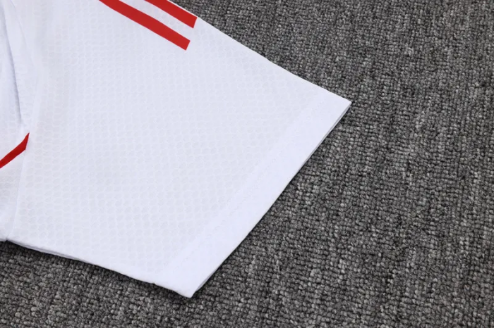 25-26 Ajax High Quality Polo Tracksuit