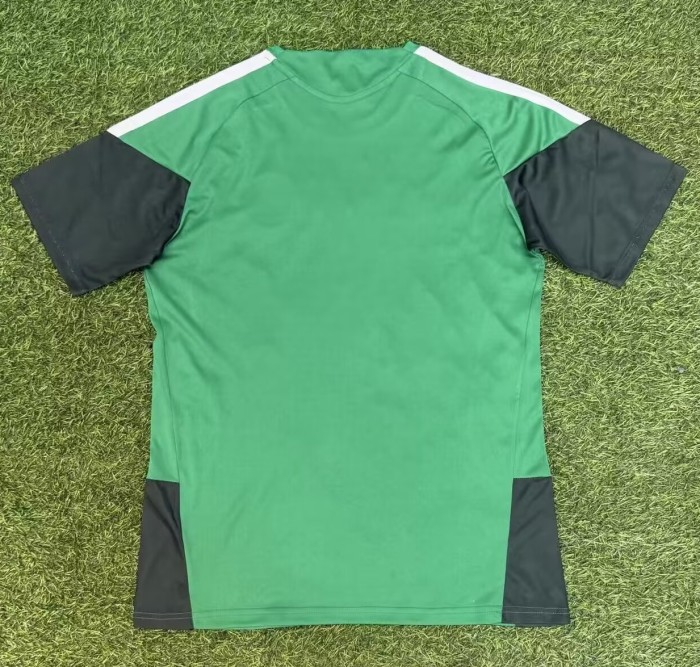 25-26 Algeria Green Special Edition Fans Training shirts