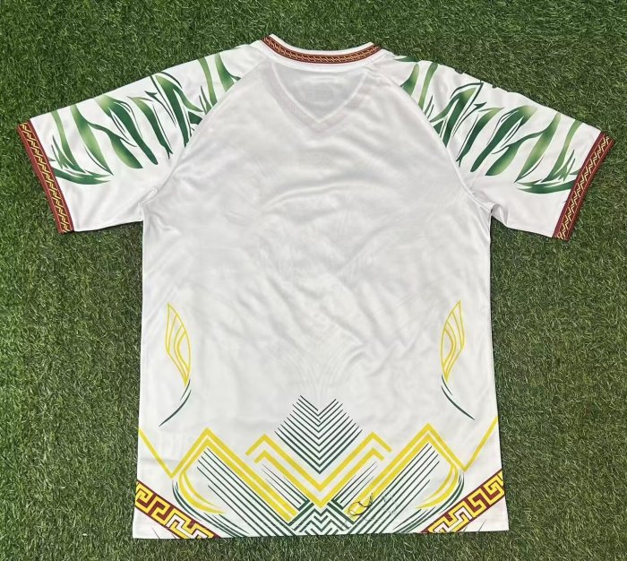 25-26 Mali Third Fans Soccer Jersey