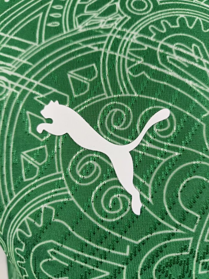 25-26 Cote d'Ivoire Green Special Edition Player Version Soccer Jersey