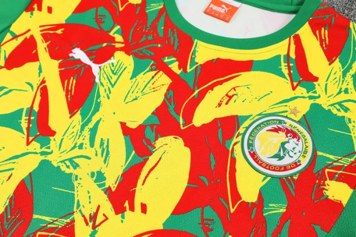 25-26 Senegal High Quality Training Short Suit