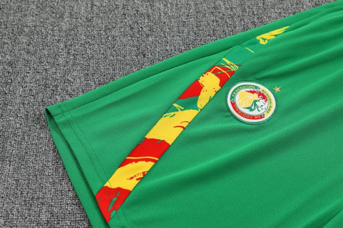 25-26 Senegal High Quality Training Short Suit