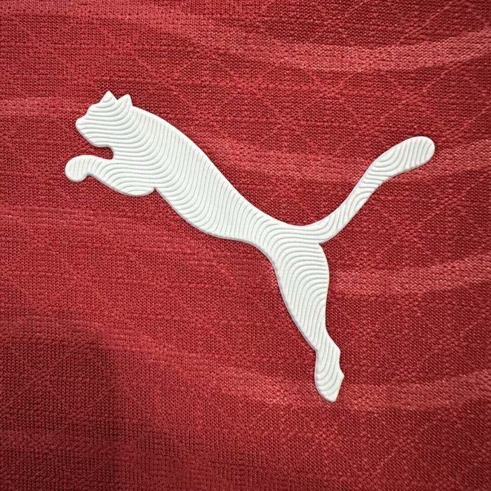 2026 Portugal Home Long Sleeve Player Version Soccer Jersey (长袖球员)