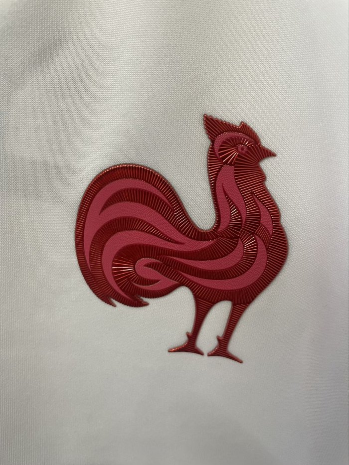 25-26 High Quality Rugby Jersey