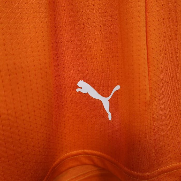 2026 Cote d'Ivoire Home Player Version Shorts Pants (球员短裤)