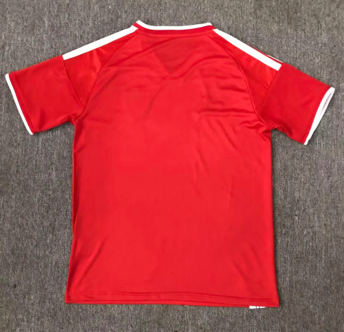 25-26 Wales Red Special Edition Fans Soccer Jersey