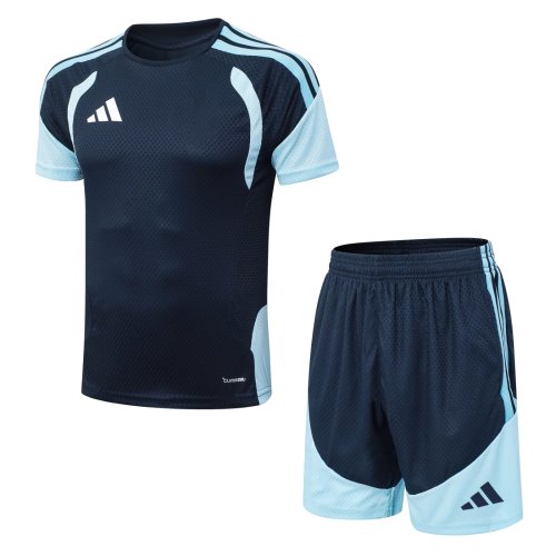2026 AD Blue High Quality Player Version Training Short Suit (球员套装)