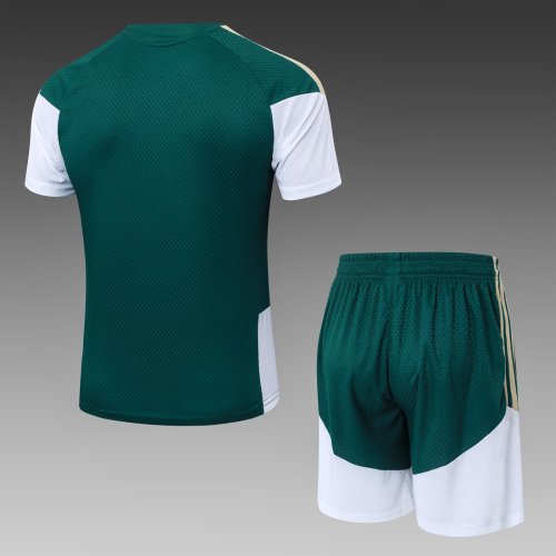 2026 AD Green High Quality Player Version Training Short Suit (球员套装)