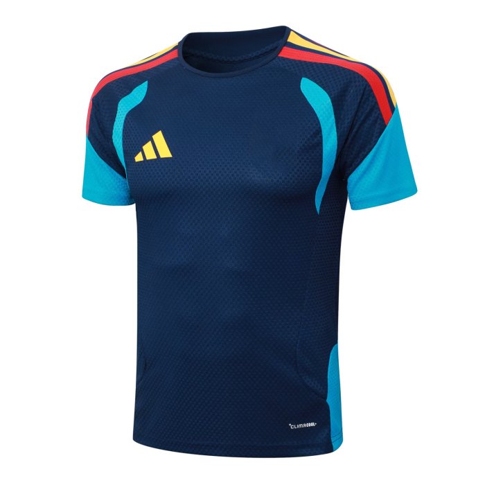 2026 AD Blue High Quality Player Version Training Short Suit (球员套装)