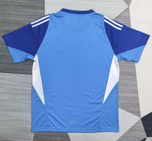 25-26 Man Utd Blue Goalkeeper Fans Soccer Jersey