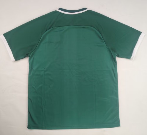 2024 Palestine Green Special Edition Training Shirts