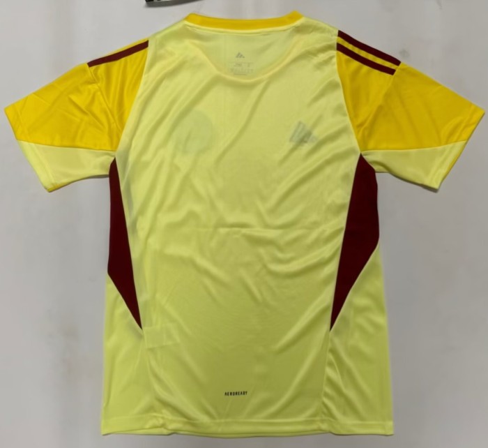 25-26 Colombia Yellow GoalKeeper Fans Soccer Jersey