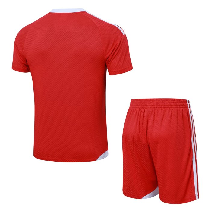 2026 AD Red High Quality Player Version Training Short Suit (球员套装)