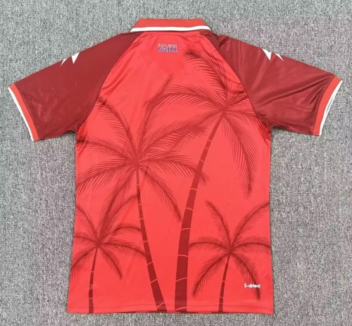 2026 Haiti Third Fans Soccer Jersey