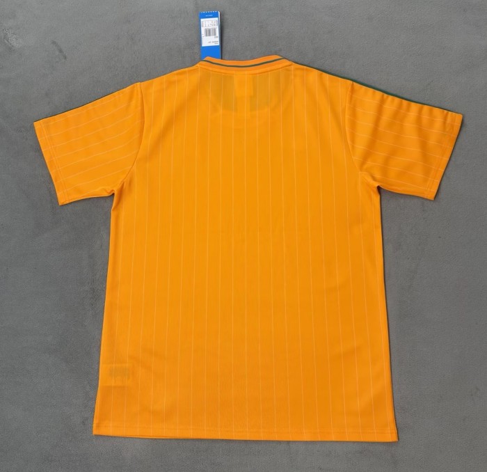 26-27 Cote d'Ivoire Special Edition Fans Soccer Jersey