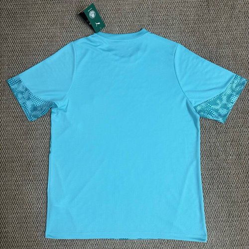 26-27 Palmeiras Training Shirts