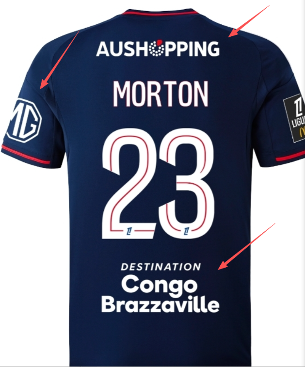 25-26 Lyon Away Fans Soccer Jersey