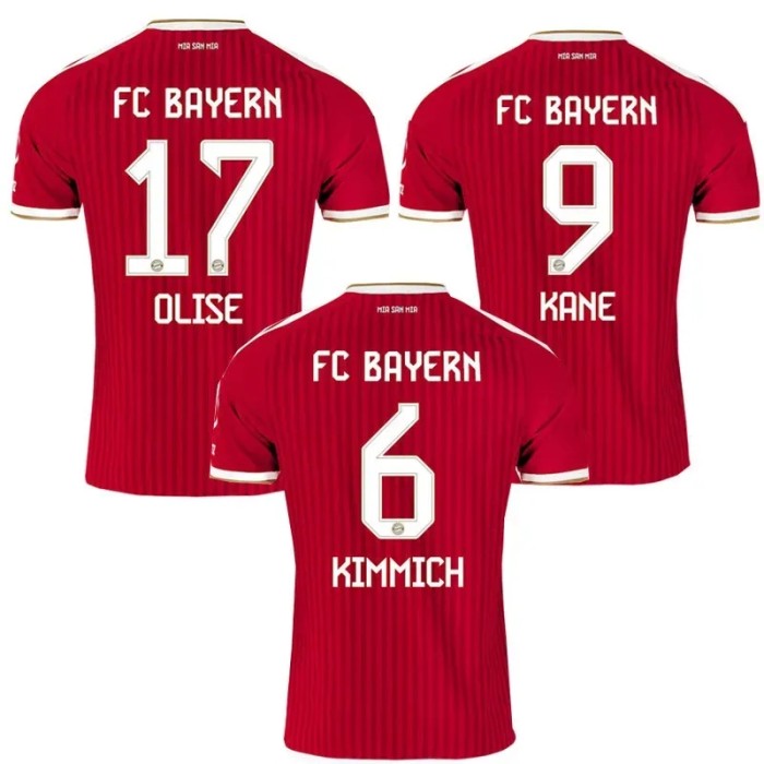 26-27 Bayern Home Leaked Edition Fans Soccer Jersey