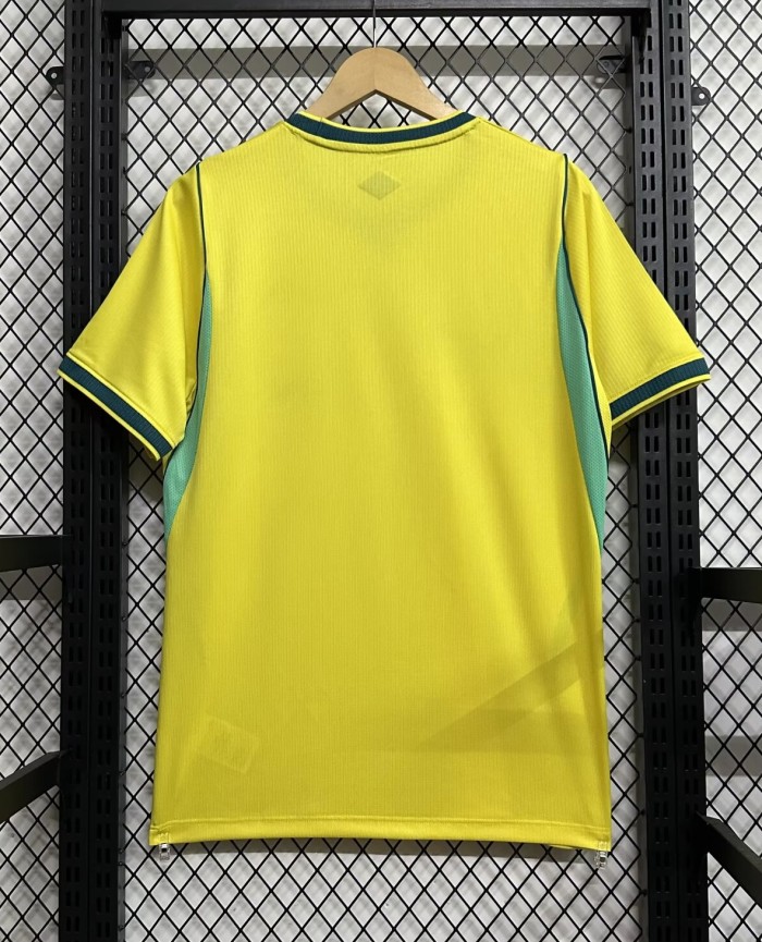 2026 Brazil Home Print Neymar Jr #10 Fans Soccer Jersey (Picture Number)