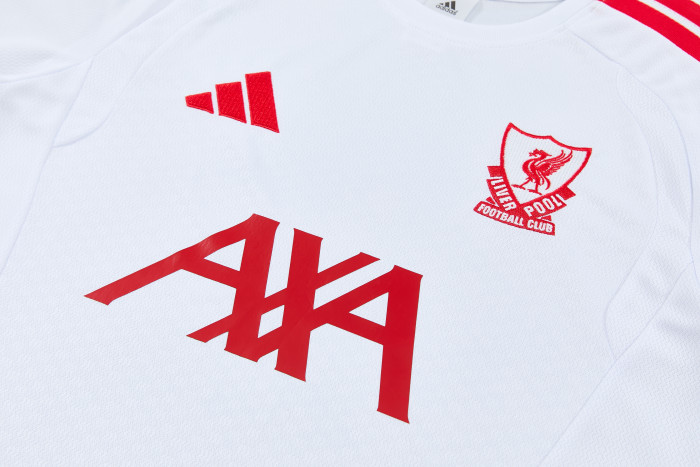 26-27  Liverpool High Quality Training Short Suit
