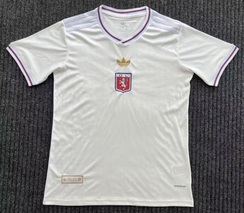 24-25 Lyon Anniversary Edition Fans Soccer Jersey