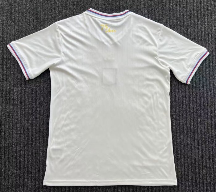 24-25 Lyon Anniversary Edition Fans Soccer Jersey
