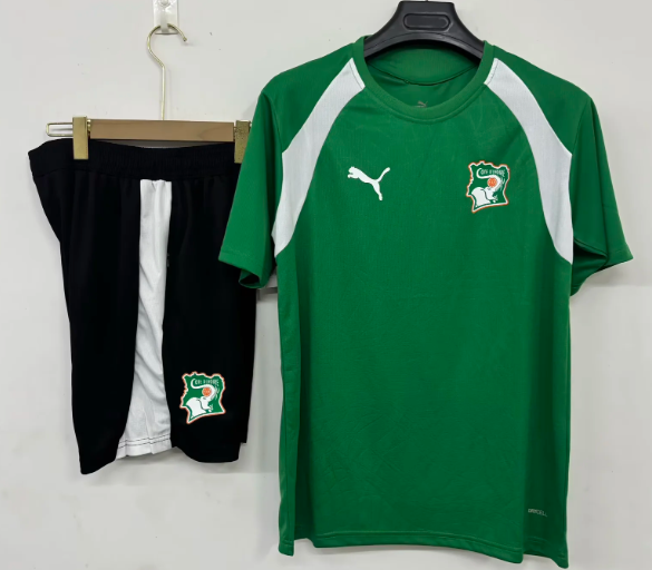 26-27 Cote d'Ivoire High Quality Training Short Suit