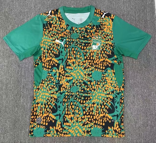 26-27 Cote d'Ivoire Green Special Edition Fans Soccer Jersey