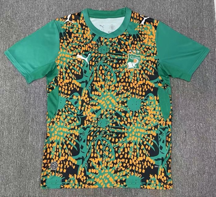 26-27 Cote d'Ivoire Green Special Edition Fans Soccer Jersey