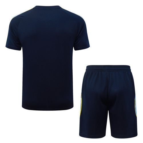 26-27 Tottenham Hotspur High Quality Training Short Suit
