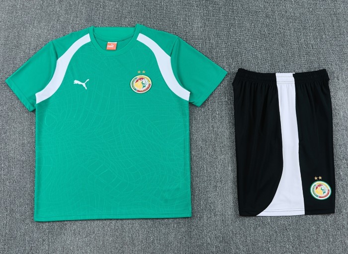 26-27 Senegal High Quality Training Short Suit