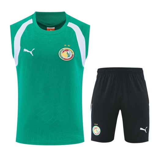 26-27 Senegal High Quality Tank Top And Shorts Suit