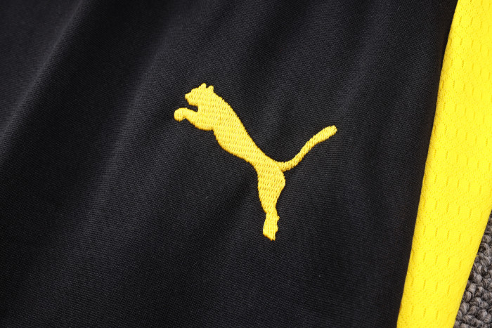 26-27 Dortmund High Quality Half Pull Tracksuit