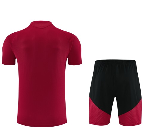 26-27 LIV High Quality Training Short Suit