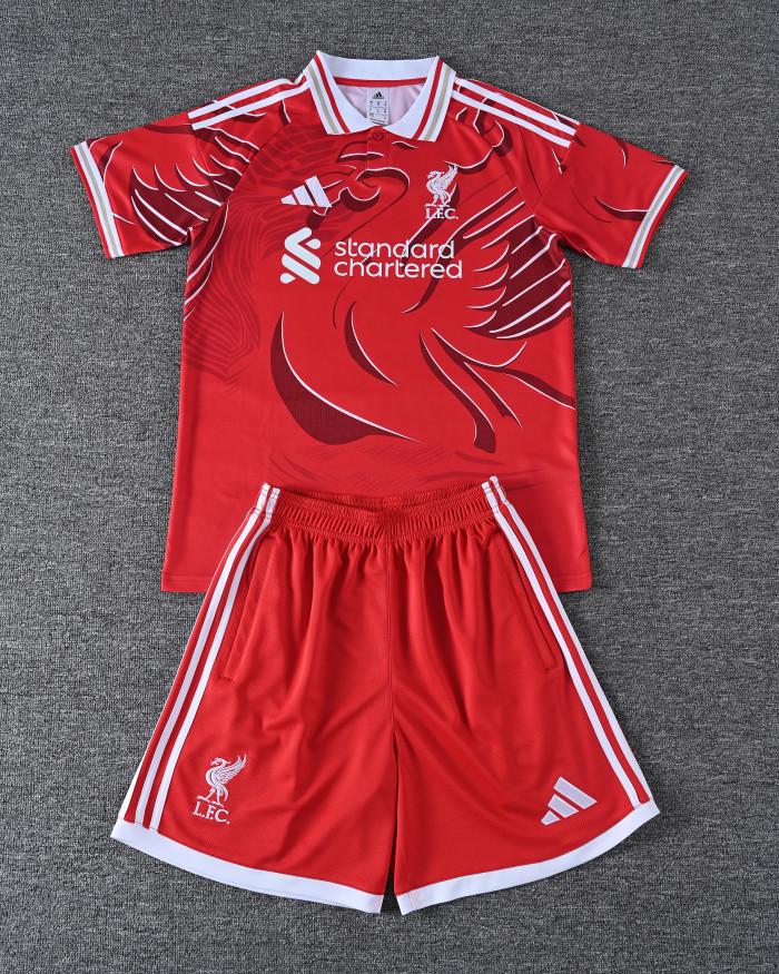 26-27  LIV High Quality Training Short Suit