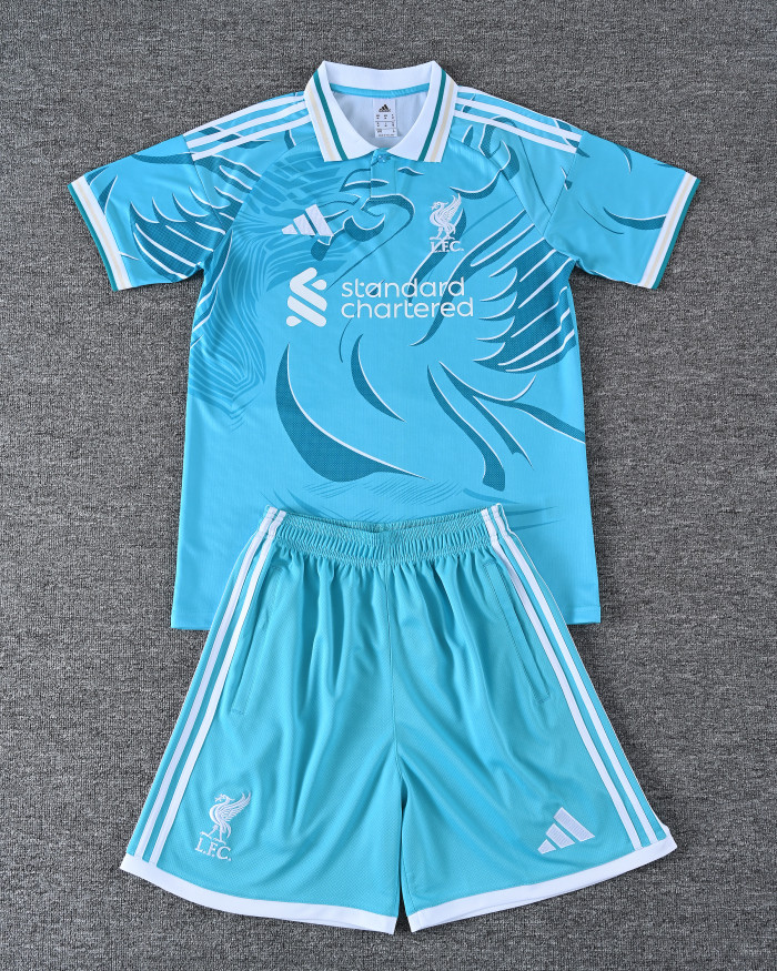 26-27  LIV High Quality Training Short Suit