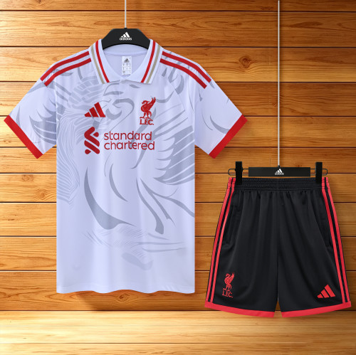 26-27  LIV High Quality Training Short Suit