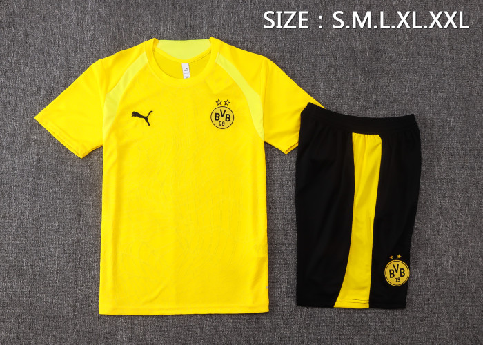 26-27 Dortmund High Quality Training Short Suit