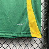 24-25 JAMAICA Green Training shirts