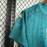 24-25 Mexico Green Blue Training shirts