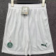 25-26 Palmeiras Home Shorts Pants