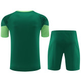 24-25 Palmeiras Green Training Short Suit