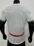 24-25 Morocco Away Player Version Soccer Jersey