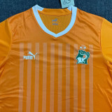 22-23 Ivory coast Home Fans Soccer Jersey (带二星)