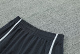 24-25 LIV Grey Training Shorts Pants