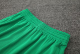 24-25 Palmeiras Fluorescent green Training Short Suit