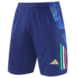 24-25 Italy Royal blue Training Shorts Pants