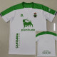 24-25 Racing de Santander Home Fans Soccer Jersey