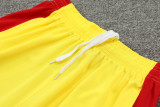 24-25 LIV Yellow Training Short Suit